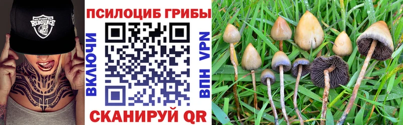 Купить Новоржев Галлюциногенные грибы MAGIC MUSHROOMS