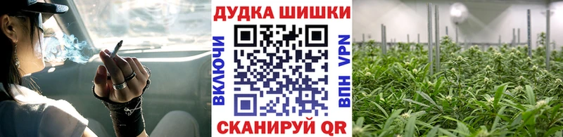 Шишки марихуана ГИДРОПОН  Купить закладки  Новоржев 